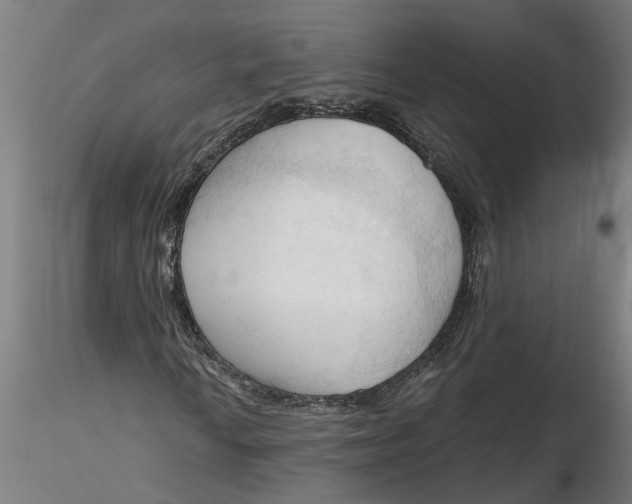 X0000116321010200912221354