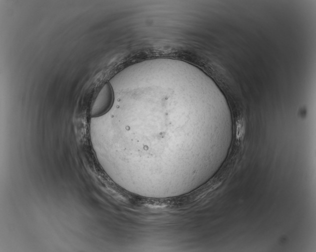 X0000116321011200912221354