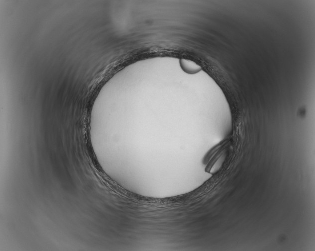 X0000116321012200912221354