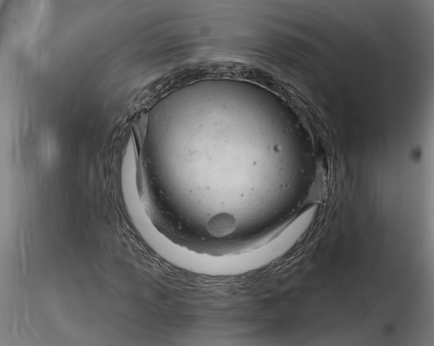 X0000116321013200912221354