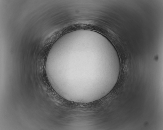 X0000116321014200912221354