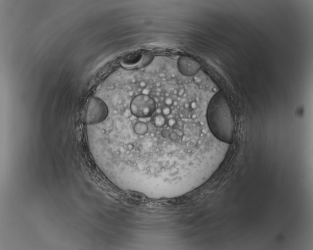 X0000116321015200912221354