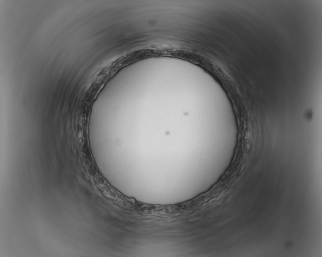 X0000116321016200912221354