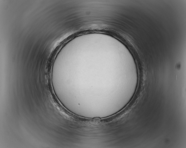 X0000116321018200912221354