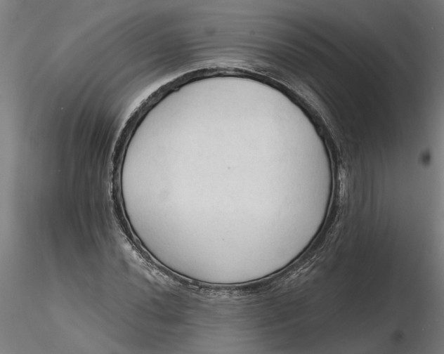 X0000116321020200912221354