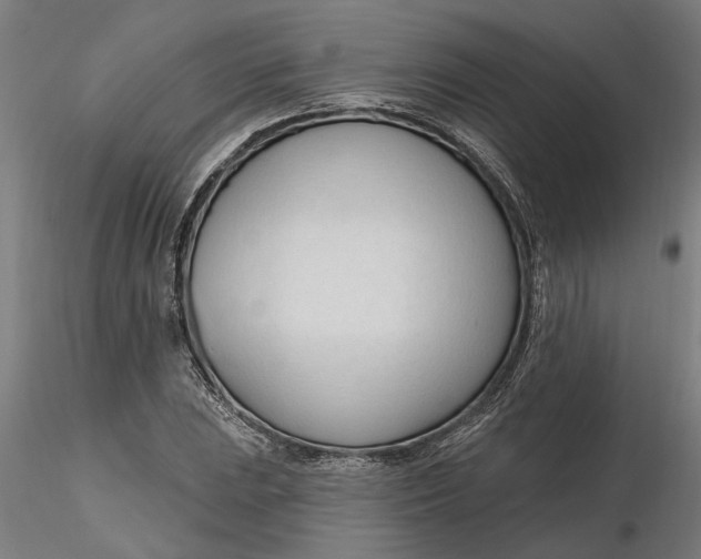 X0000116321023200912221354