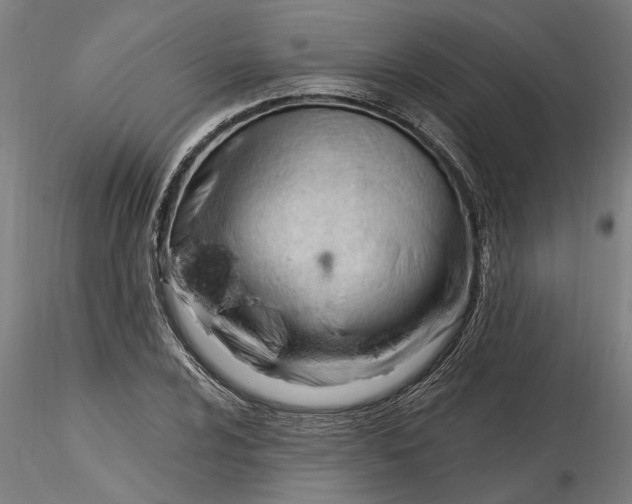 X0000116321024200912221354