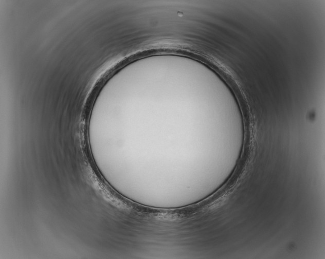 X0000116321029200912221354