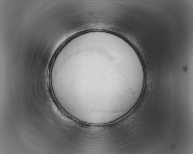 X0000116321032200912221354