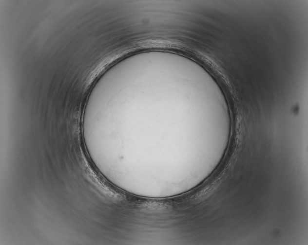 X0000116321033200912221354