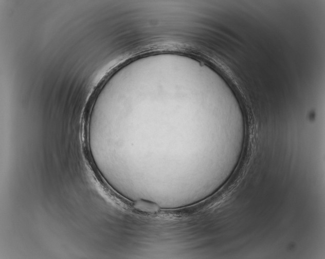 X0000116321034200912221354