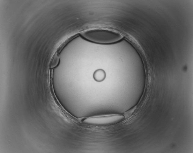 X0000116321035200912221354