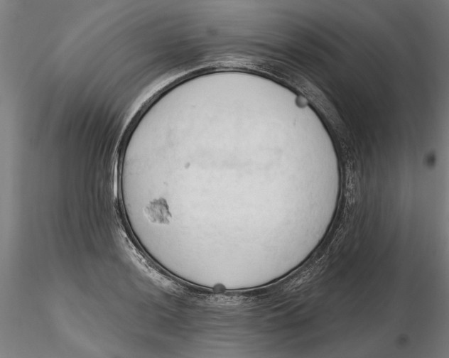 X0000116321036200912221354