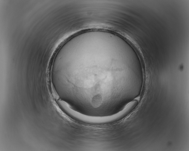 X0000116321037200912221355