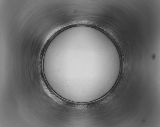 X0000116321038200912221355