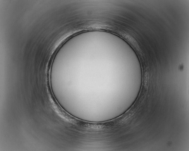 X0000116321039200912221355