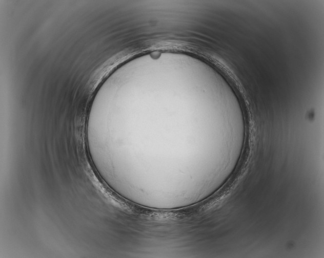 X0000116321041200912221355