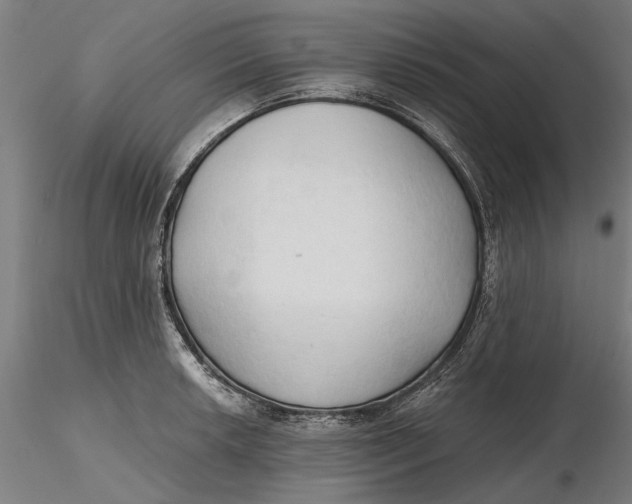 X0000116321042200912221355