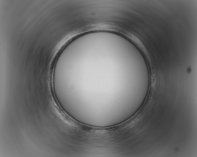 X0000116321043200912221355