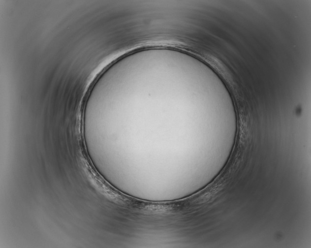 X0000116321044200912221355