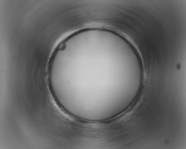 X0000116321045200912221355