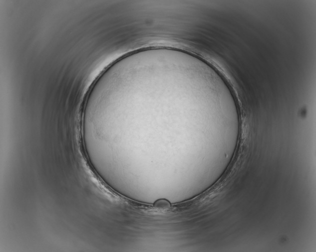 X0000116321048200912221355