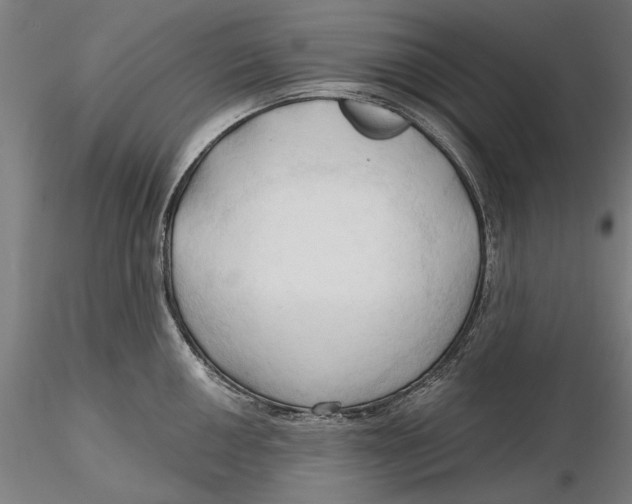 X0000116321050200912221355