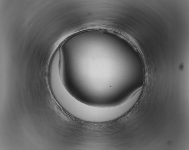 X0000116321051200912221355