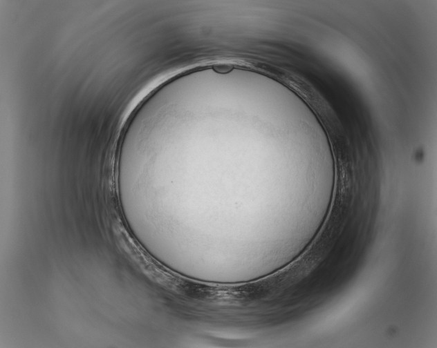 X0000116321052200912221355