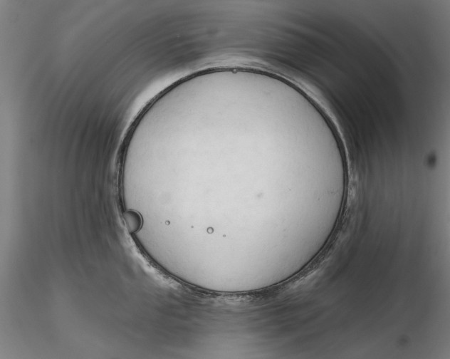 X0000116321053200912221355