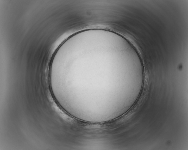 X0000116321054200912221355