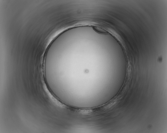 X0000116321055200912221355