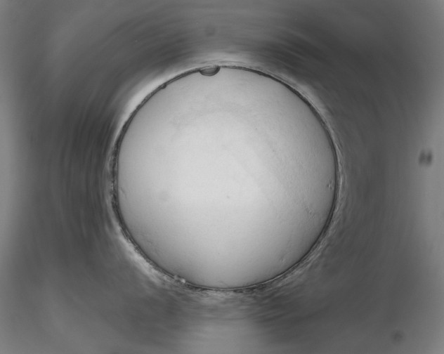 X0000116321056200912221355