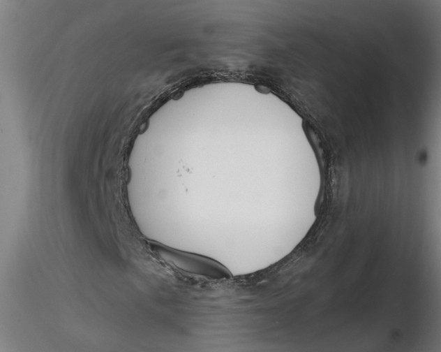 X0000116321057200912221354