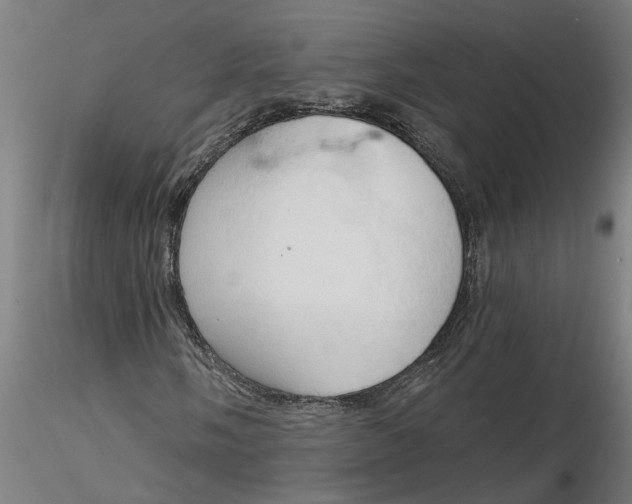 X0000116321058200912221354