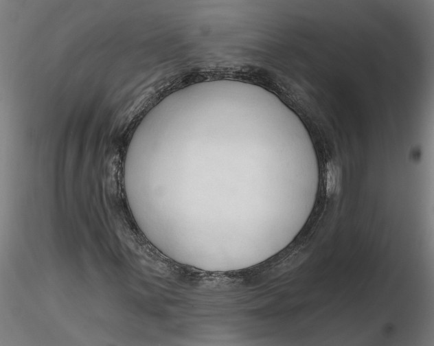 X0000116321059200912221354