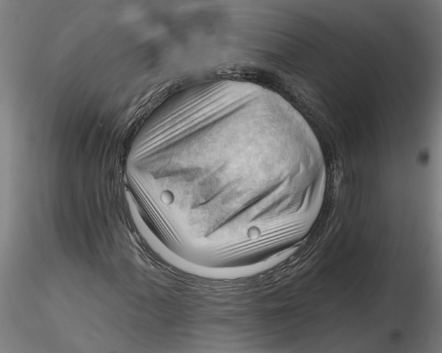 X0000116321060200912221354