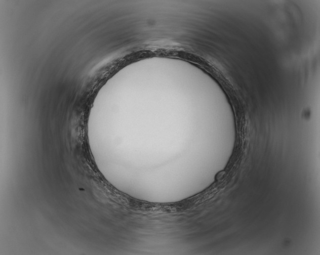 X0000116321063200912221354