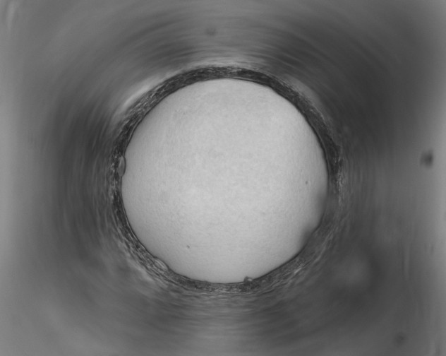 X0000116321064200912221354