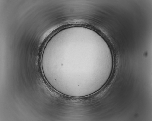 X0000116321066200912221354