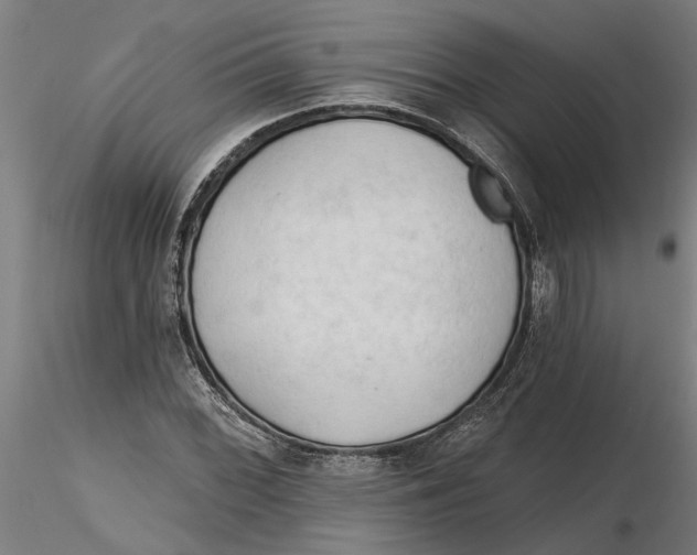 X0000116321068200912221354