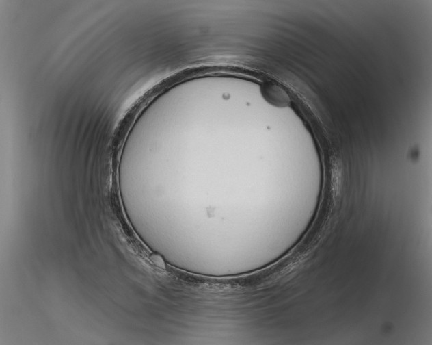 X0000116321069200912221354