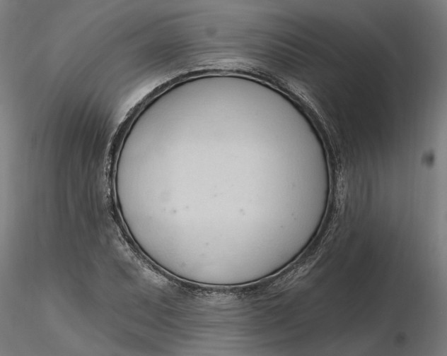 X0000116321071200912221354