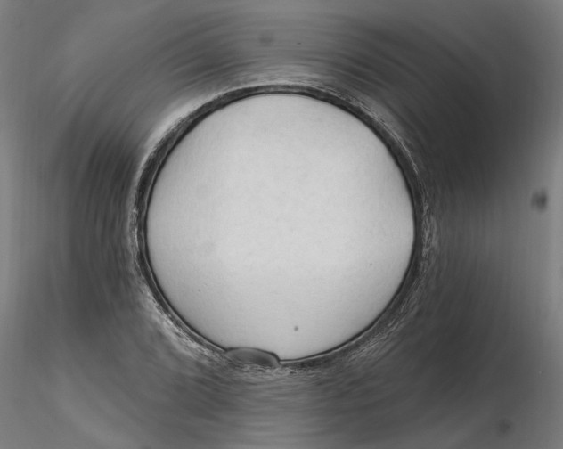 X0000116321072200912221354