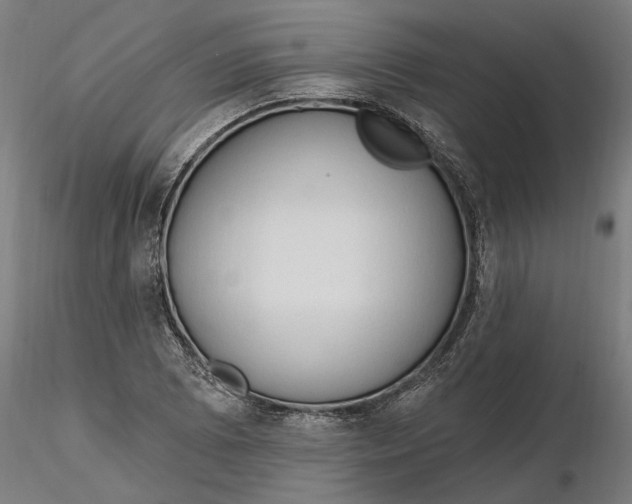 X0000116321073200912221354