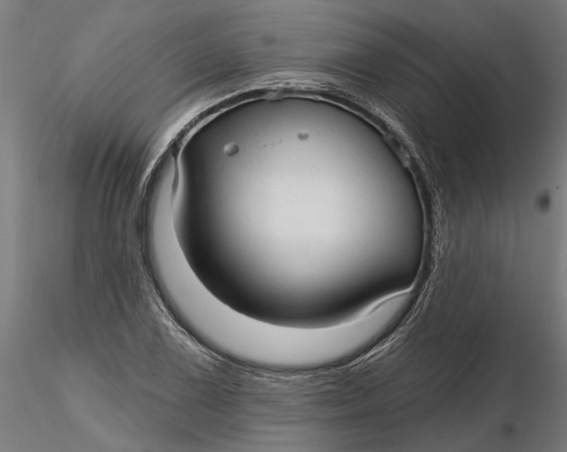 X0000116321075200912221354