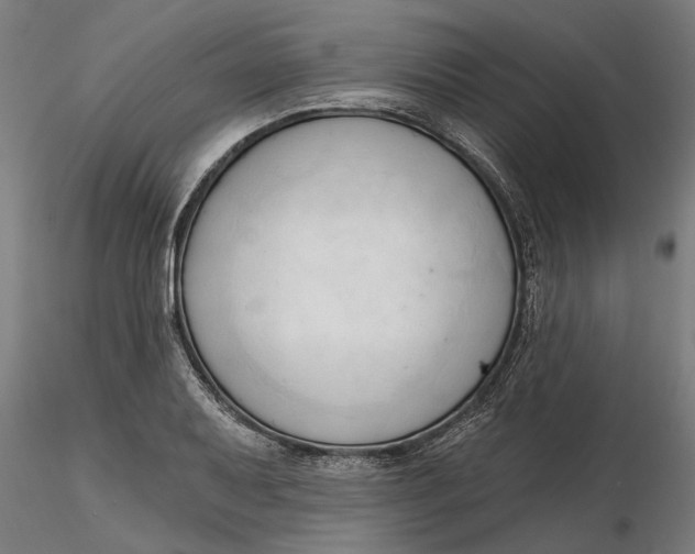 X0000116321079200912221354