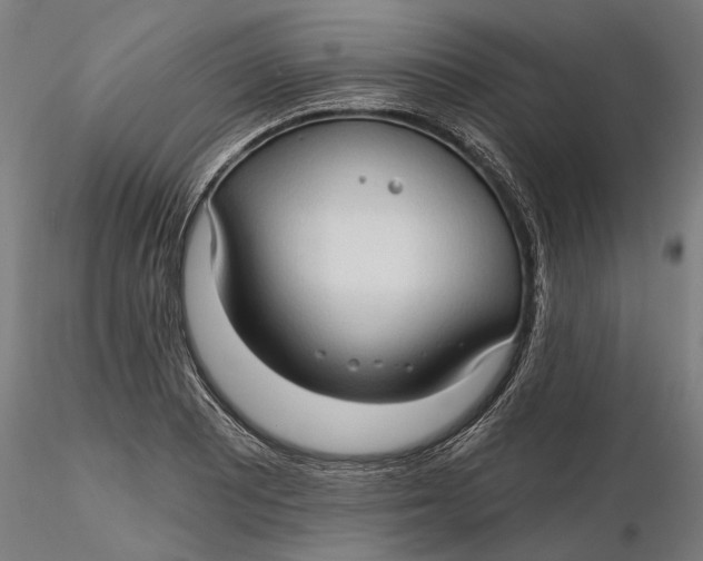 X0000116321081200912221354