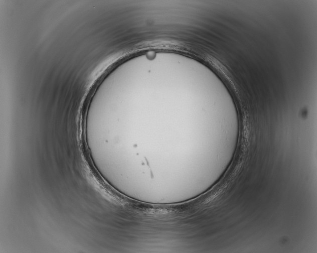 X0000116321082200912221354