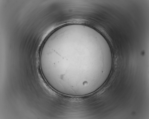 X0000116321083200912221354